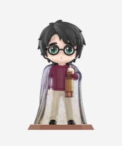 Harry Potter and the Sorcerer's Stone Series